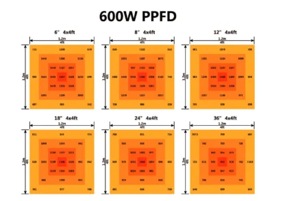 Mo's 600w LED Grow Light - par map, ppfd map