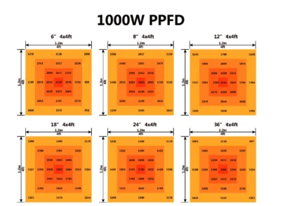 Mo's 1000w LED Grow Light - par map