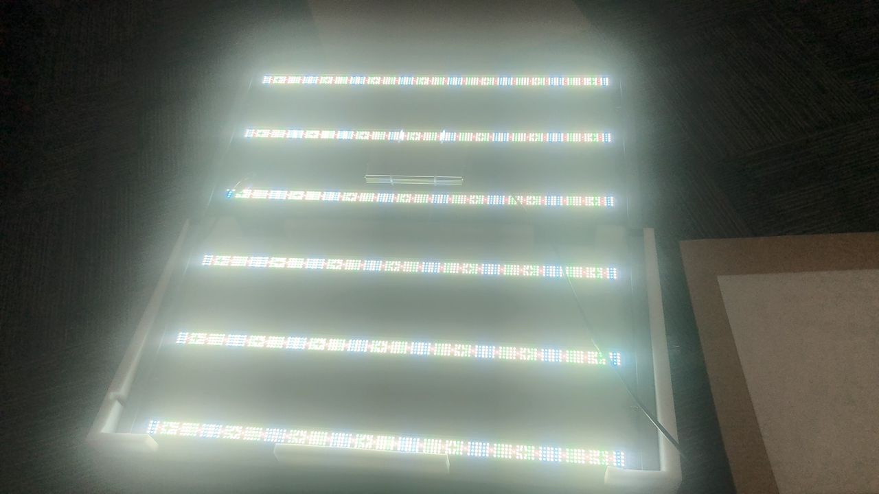 2026 ProTerp 600W LED Grow Light – 3.13 PPE/3.2 ePPE CMH Full Spectrum - Image 5